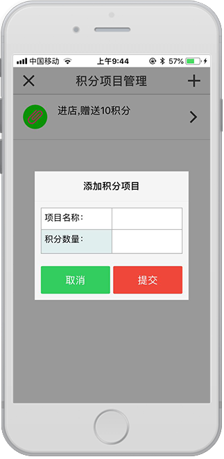 积分项目